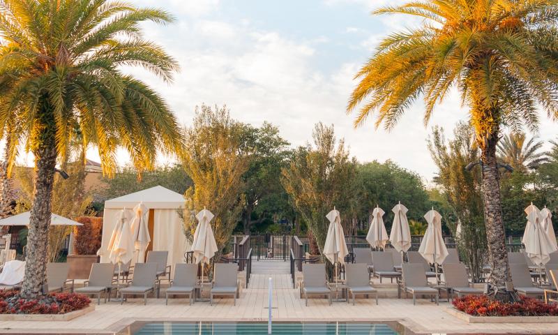 Pool Palm-trees Sun-loungers Vacation Summer