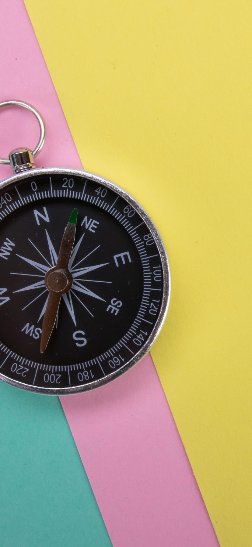 Compass Navigation Wind-rose