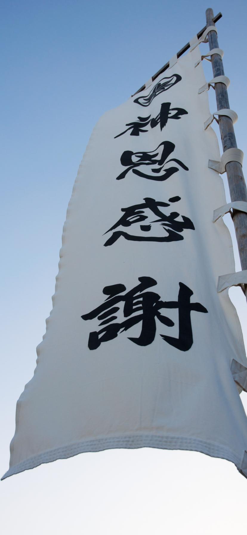 Flag Hieroglyphs Words Fabric Inscription Japan