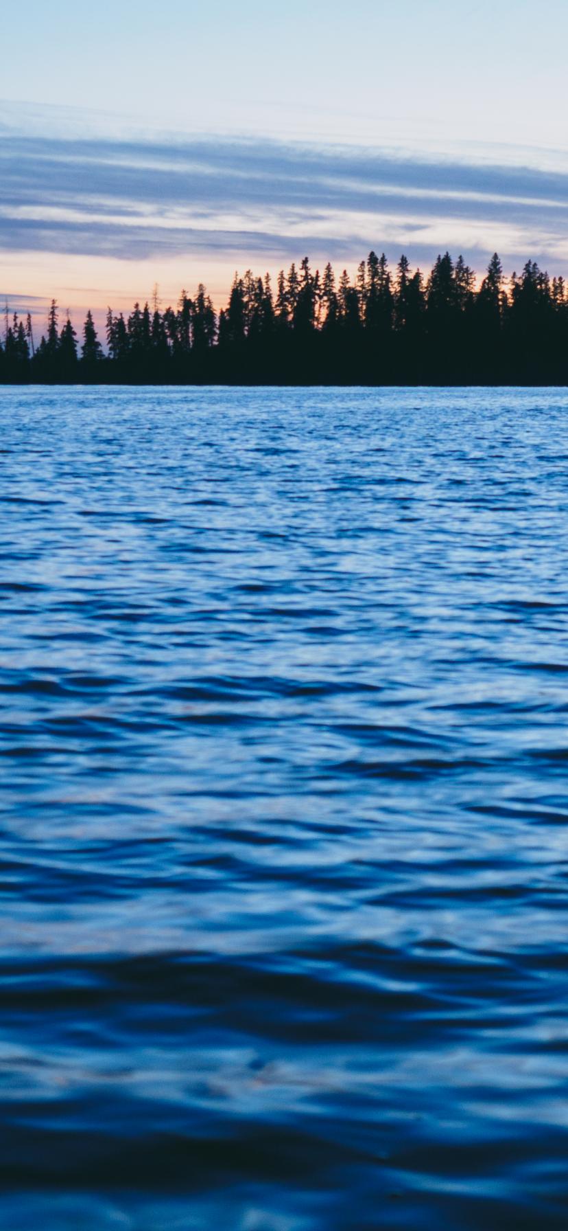 Forest Trees Silhouettes Water Waves Landscape