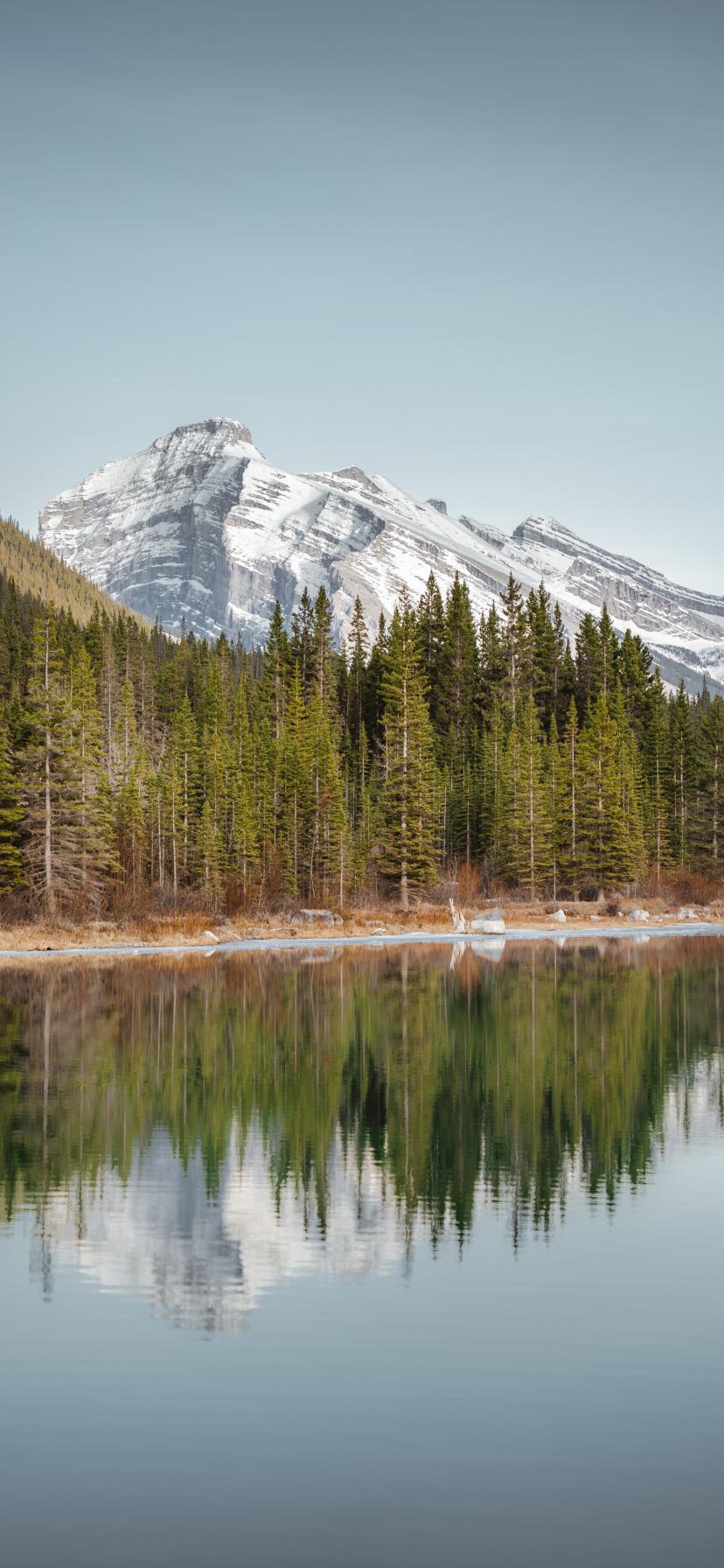 Lake Mountains Forest Trees Landscape
