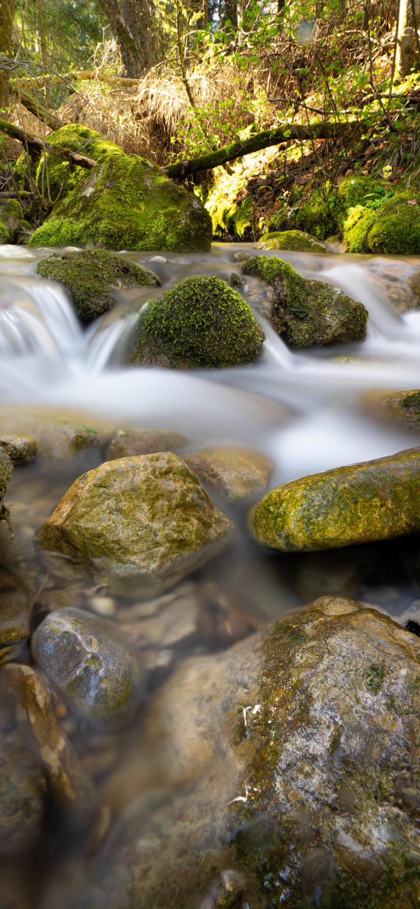 River Stream Stones Moss Water Long-exposure