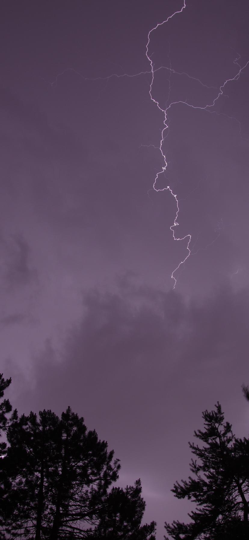 Trees Silhouettes Thunderstorm Lightning Dark