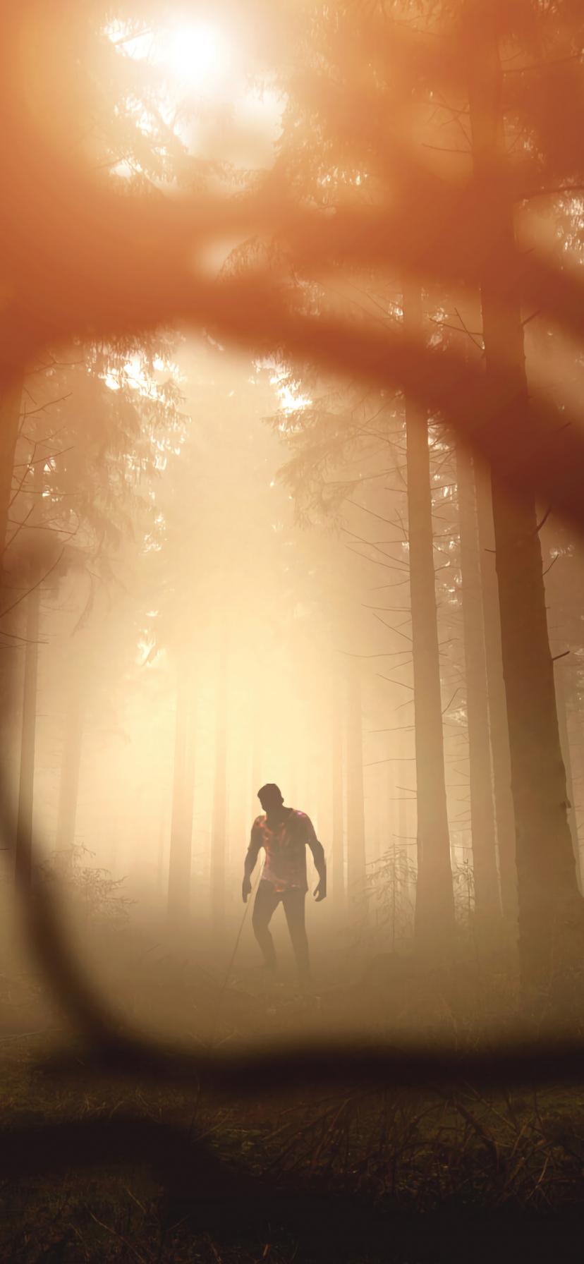 Zombie Silhouette Forest Trees Apocalypse Twilight