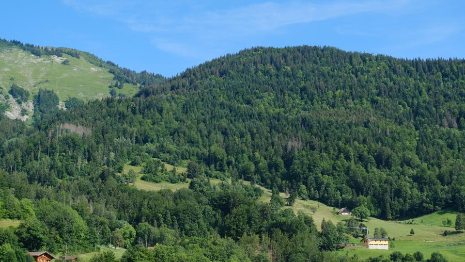Hills Forest Trees Nature Landscape Aerial-view