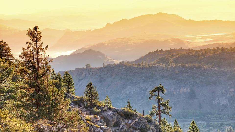 Mountains Trees Twilight Landscape