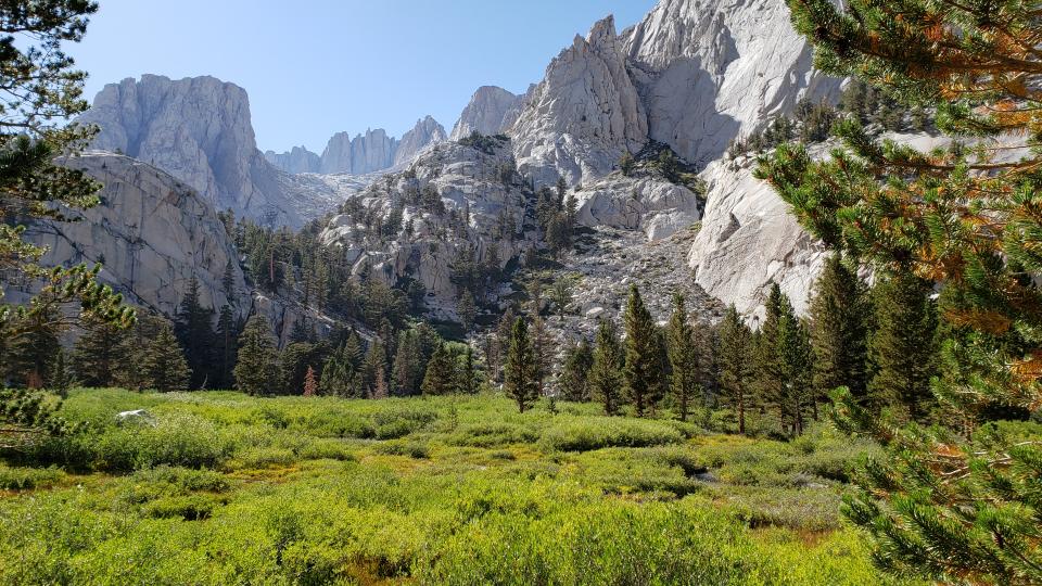 Mountains Valley Trees Bushes Greenery Landscape