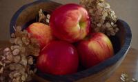Apples Fruit Red Hydrangea