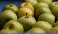 Apples Fruits Green Macro