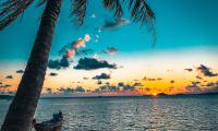 Beach Palm-tree Sea Boat Sunset