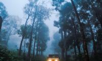 Car Suv Road Forest Fog