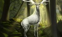 Deer Animal Horns Forest Art