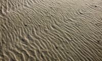 Desert Sand Waves Texture Relief