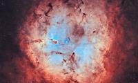 Elephant-trunk-nebula Nebula Shine Stars Space