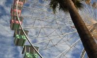 Ferris-wheel Attraction Palm-trees Bottom-view