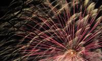 Fireworks Salute Sparks Bright Night Holiday