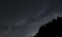 Forest Silhouettes Stars Night Dark