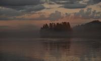 Forest Trees Fog Lake Twilight Landscape
