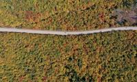 Forest Trees Road Car Autumn Aerial-view