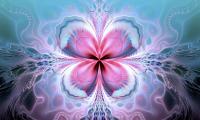 Fractal Pattern Shapes Abstraction Pink Blue