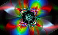 Fractal Pattern Shapes Colorful Abstraction