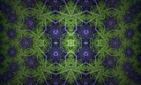 Fractal Shapes Lines Abstraction Green Purple