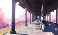 Girl Platform Sakura Petals Anime Art