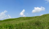 Hill Grass Clouds Nature Landscape