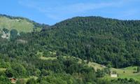 Hills Forest Trees Nature Landscape Aerial-view