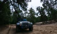 Jeep-wrangler Jeep Car Suv Gray Forest
