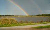 Lake Horizon Rainbow Landscape Nature