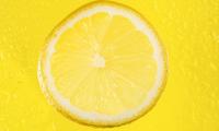 Lemon Slice Citrus Yellow Macro