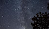 Milky-way Stars Sky Trees Night Dark