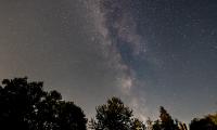 Milky-way Stars Trees Night Sky Dark