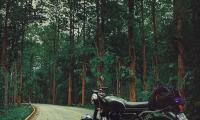 Motorcycle Bike Black Road Forest