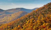Mountains Forest Trees Autumn Landscape Yellow