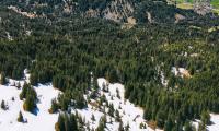 Mountains Forest Trees Snow Landscape Aerial-view