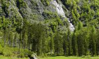 Mountains Trees Greenery Landscape Nature