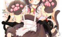 Neko Girl Ears Cats Cute Anime