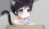 Neko Kitten Child Box Anime Art