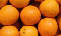 Oranges Fruits Citrus Drops Orange