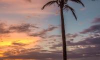 Palm-tree Beach Sea Sky Clouds Sunset