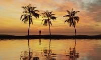 Palm-trees Silhouette Sea Water Sunset