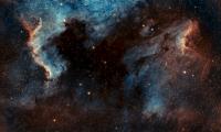 Pelican-nebula Nebula Glow Stars Space