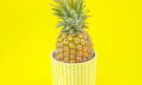 Pineapple Fruit Pot Plant Yellow Bright