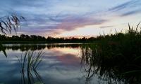 Reeds Lake Twilight Landscape Nature