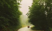 Road Car Travel Forest Fog Nature
