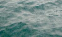 Sea Water Waves Pebbles