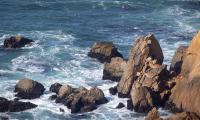 Sea Waves Rocks Water Coast