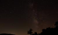 Starry-sky Stars Night Trees Silhouettes Dark